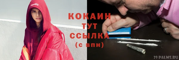 a pvp Аркадак